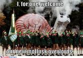 I, For One, Welcome Our New Insect Overlords