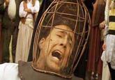 NOT THE BEES!