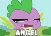 My Little Pony: Friendship is Magic