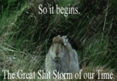 Shitstorm