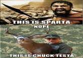 This Is Sparta!