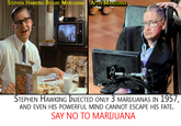 Faces of Marijuana
