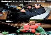 Faces of Marijuana