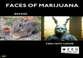 Faces of Marijuana