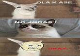 Ola K Ase