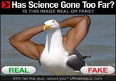 Has Science Gone Too Far?