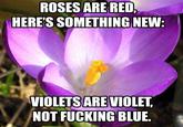 Valentine's Day E-cards