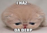 DERP