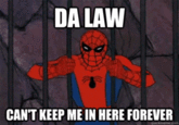 '60s Spider-Man