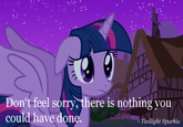 Twilight Sparkle Alicorn Controversy