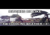 Bitches Be Like