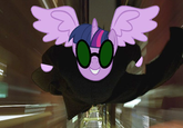 Twilight Sparkle Alicorn Controversy