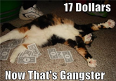 17 Dollars