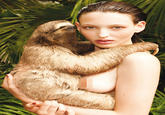 Rape Sloth