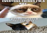 Grumpy Cat