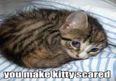LOLcats