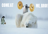 COME AT ME BRO