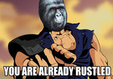That Really Rustled My Jimmies