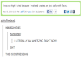 Night Blogging