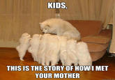 Storytelling Dog
