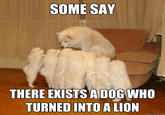 Storytelling Dog