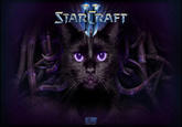 Starcraft