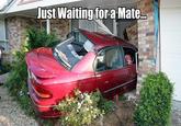 Just Waiting For A Mate