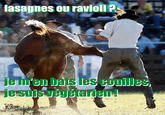 2013 Horse Meat Scandal