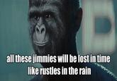 That Really Rustled My Jimmies