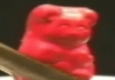 Reaction Faces