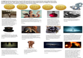 Choice Games