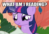 My Little Pony: Friendship is Magic