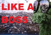 Like A Boss