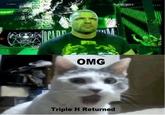 OMG Cat