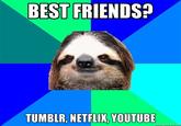 Sloths