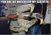 Sloths