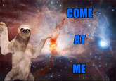 Sloths
