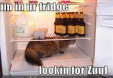 There is No Dana, Only Zuul