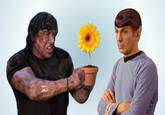 Spock Is Not Impressed