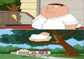 Family Guy