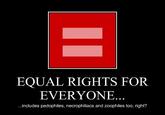 Red Equal Sign
