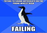 Socially Awkward Penguin