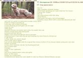 Green Text Stories