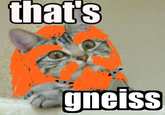 Dwarf Fortress