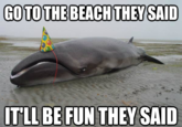 Advice Animals