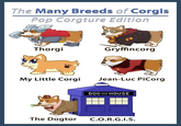 Dogs