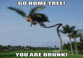 Go Home, You Are Drunk