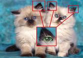 The Illuminati
