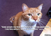 Mylo the Cat