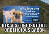 Bacon